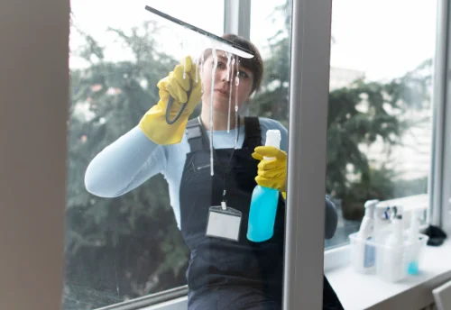 Nettoyage de vitres intérieures et extérieures à Perrecy-les-Forges